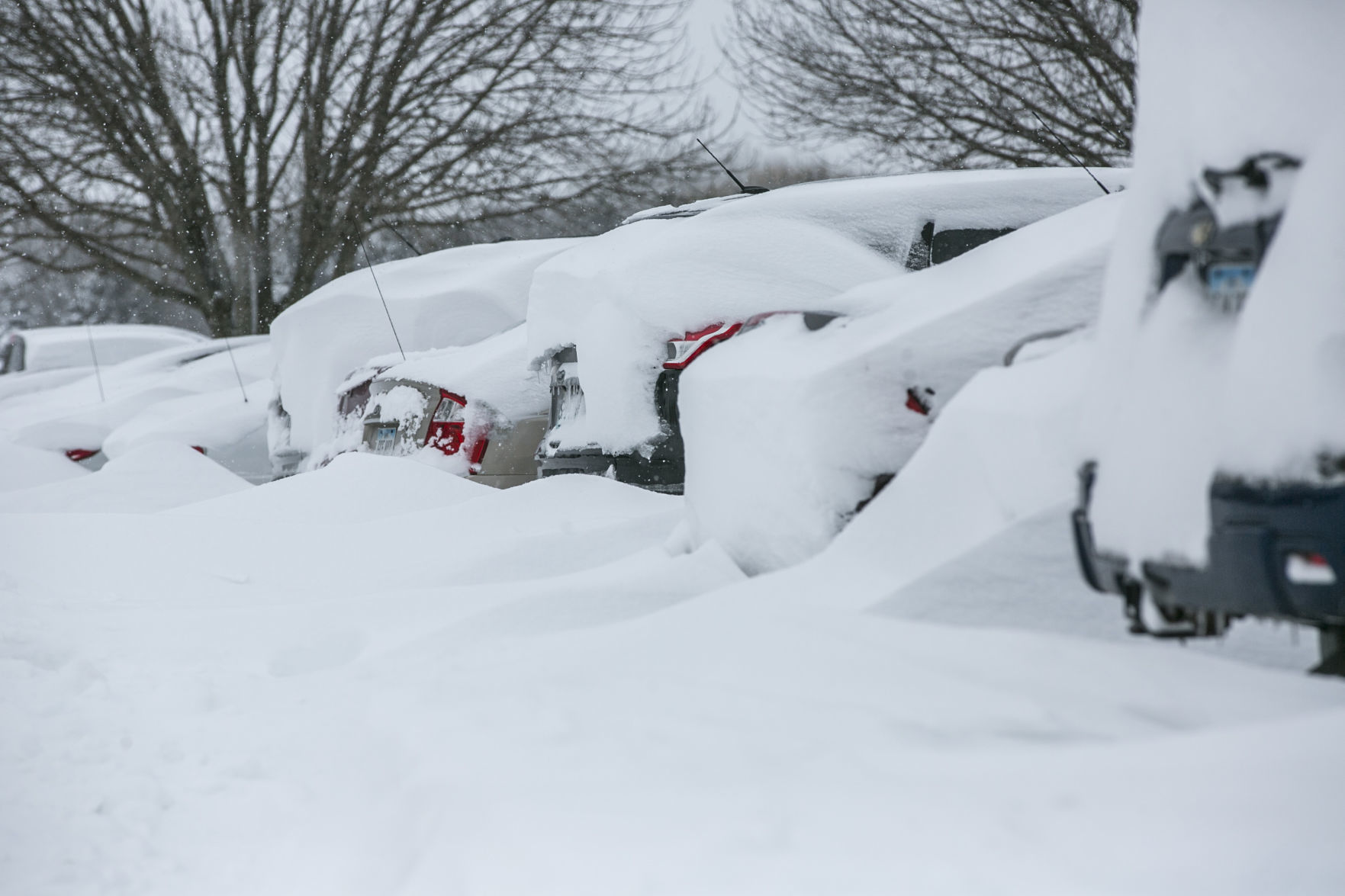 Blizzard 6